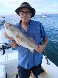 Freshly caught redfish displayed on fishing boat in Port Orange FL waters