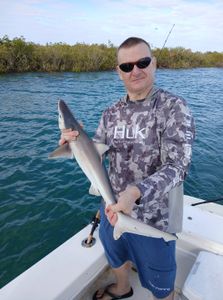 Sandbar shark catch during fishing trip in Port Orange FL