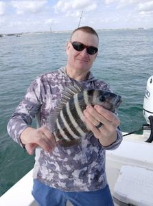 Sheepshead fish caught while fishing in Port Orange FL