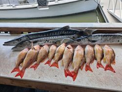 Fresh caught lane snapper and great barracuda displayed on fishing boat deck in Port Orange FL