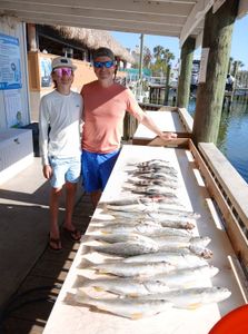 Fresh caught squeteague and other fish displayed on cleaning table at Port Orange FL fishing dock