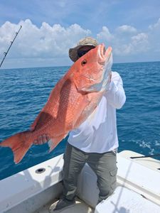 Red snapper catch on fishing boat in Port Orange FL waters