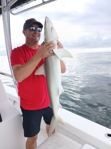 Angler holding caught shark on fishing boat in Port Orange FL waters