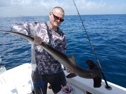 Smooth hammerhead shark caught while fishing in Port Orange FL