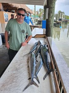 Spanish mackerel catch displayed on cleaning table at fishing dock in Port Orange FL