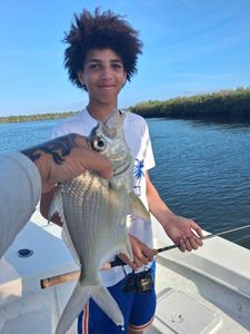 Striped bass caught during fishing trip in Port Orange FL