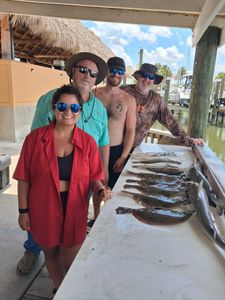 Fresh catch of summer flounder displayed on cleaning table at Port Orange FL fishing dock