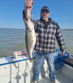 A person fishing at the lakeside in Marblehead