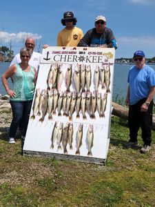 Four pike-perch caught on a lakeside fishing trip in Marblehead