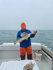 An angler catching a walleye at the lakeside in Marblehead