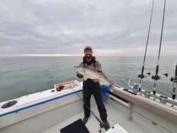Walleye caught while fishing in OH