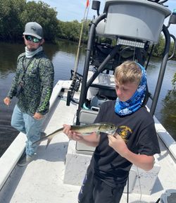 Strong catch with a feisty Jack Crevalle!