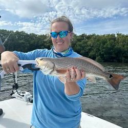 Catch redfish in Crystal River.