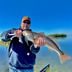 Redfish adventures await in Crystal River.