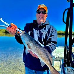 Experience the redfish rush here