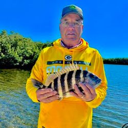 Discover Florida's fishing haven, Sheepshead