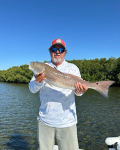 Angler with a big catch in the crystal river