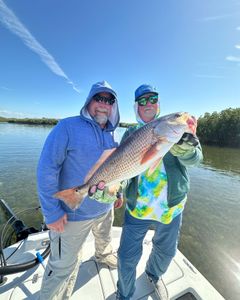 One big fish caught in FL by anglers