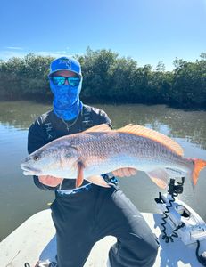 Redfish caught in Crystal River