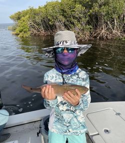 Redfish caught while fishing in Crystal River