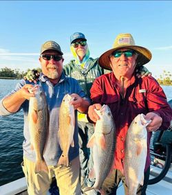 4 redfish caught in FL