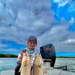Two fish being caught at Crystal River