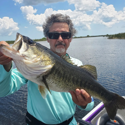 One angler fishing in Fellsmere