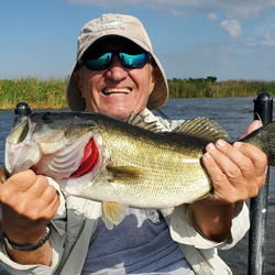 One angler fishing in FL