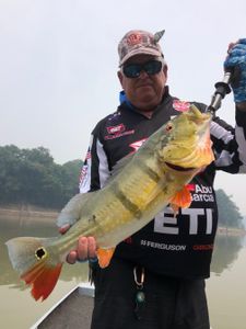 A person fishing in FL