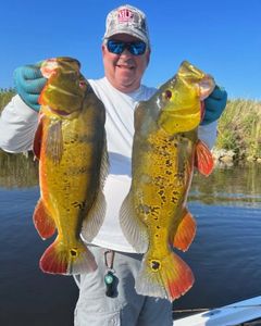2 huge fish caught during fishing tours in FL