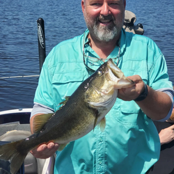 Largemouth Bass caught while fishing in Fellsmere
