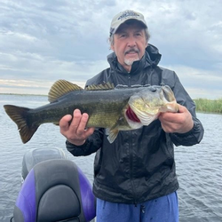 Largemouth Bass caught during fishing tour in Fellsmere