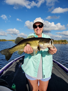Largemouth bass caught in FL