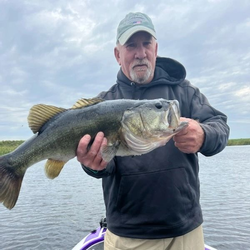 Largemouth bass caught while fishing in Florida