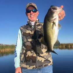 A majestic Largemouth Bass caught in FL