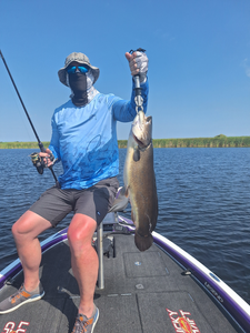 Reeled in a nice catch on the lake!