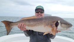 Gulf of Mexico Fishing for Large Redfish