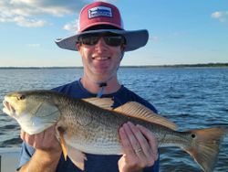 Red Drum Fishing in Tallahassee