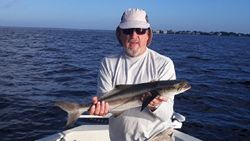 Cobia Caught in Florida