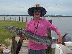 Great Barracuda Caught in FL