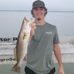 Speckled Sea Trout Fishing in FL