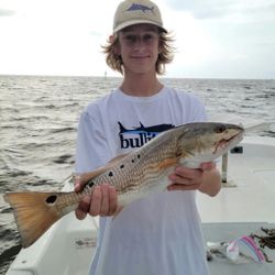 Redfish Fishing in Florida 2022