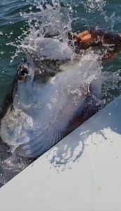 Angler with a fishing rod in FL