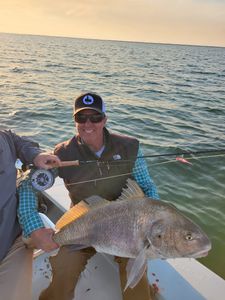 A photo of an angler catching a black drum fish in Florida