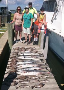 Three King Mackerel and Greater Amberjack caught by four people in Panacea
