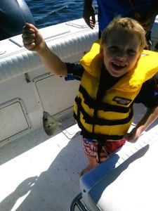 Person holding fishing rod in Panacea