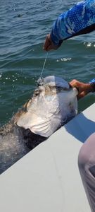 A fishing hook and lure in the water at Panacea.