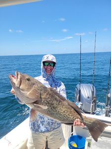 A gag grouper caught by two anglers in Panacea, Florida during a fishing trip