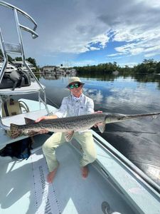Longnose gar fishing in Panacea
