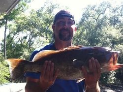 Man fishing with rod in FL